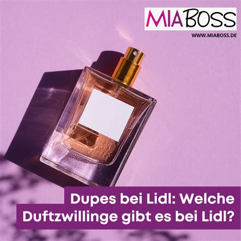 Duftzwillinge und Dupes: Liste der Düfte bei Lidl, DM .